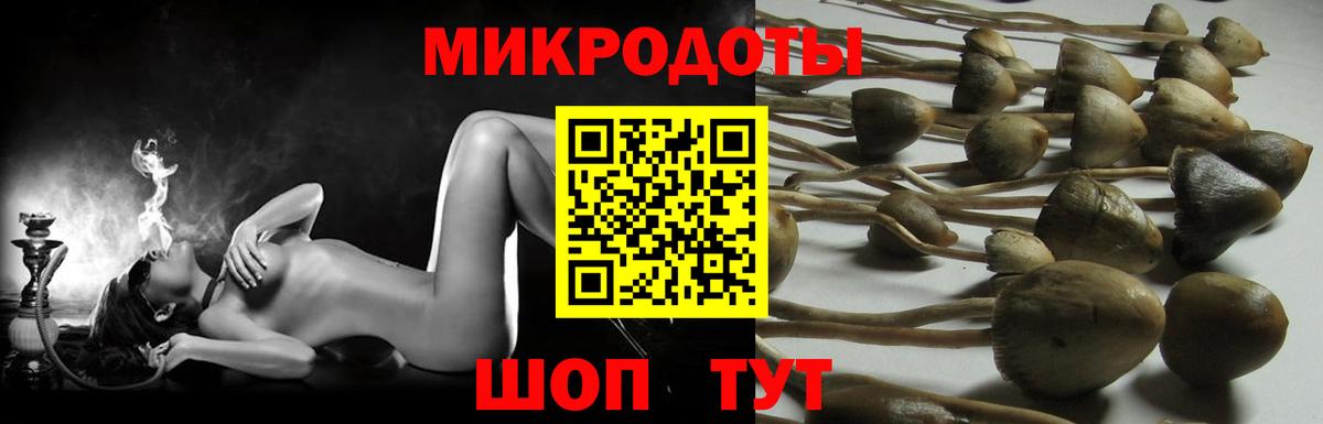 Галлюциногенные грибы прущие грибы  Галлюциногенные грибы мицелий  Кызыл  Вход с VPN 